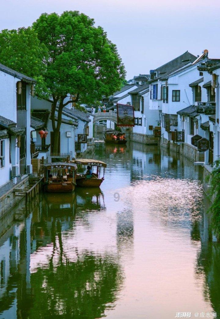 掉头发买哪种洗发水?药妆店必买好用单品