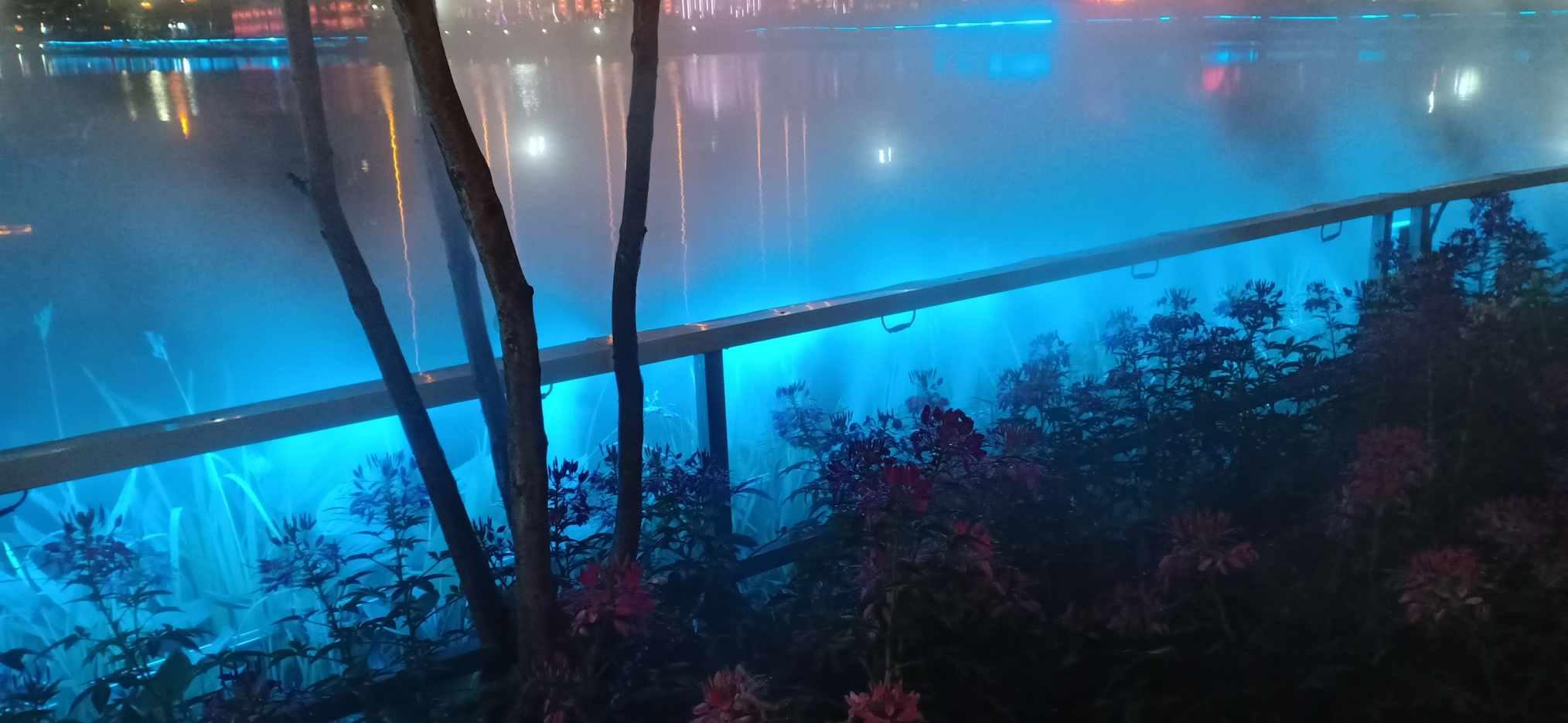 拯救可爱小鳄鱼